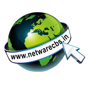 netware logo